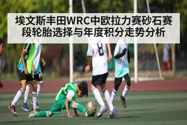埃文斯丰田WRC中欧拉力赛砂石赛段轮胎选择与年度积分走势分析